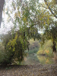 031109 218 - Copy